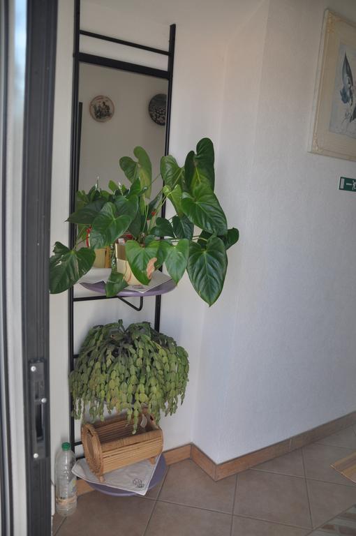 Franko Apartmani Zambratija  Exterior photo